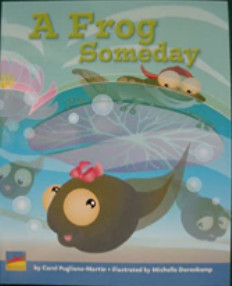 A FROG SOMEDAY